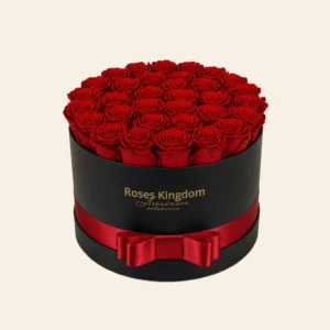 Box z Ruzi PREMIUM - cierna - cervena