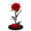 Ruža v skle Maxi