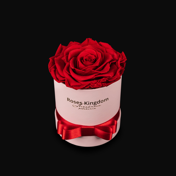 Boîte avec roses SINGLE ROSE ROUGE