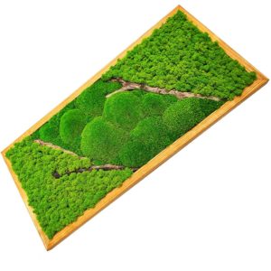 Veľký machovy obraz s drevom 75x35 cm so svetlym machom a dvomi prirodnymi konarmi