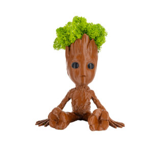 Groot XL