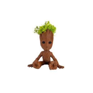 Groot