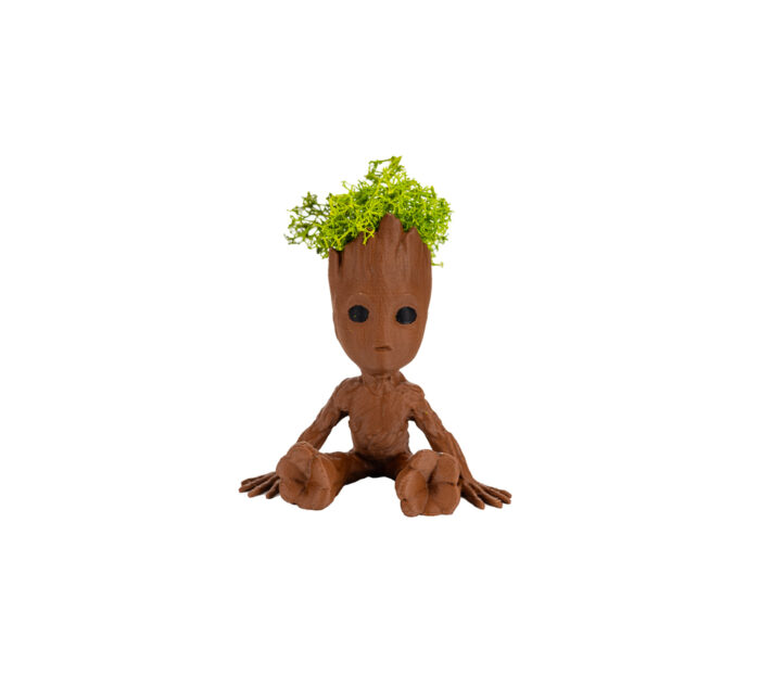 Groot