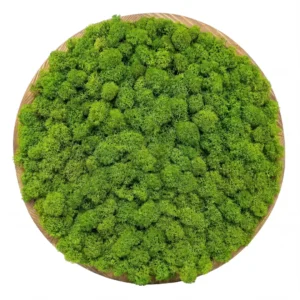 Kruhový machový obraz - Zelený portál (30cm - Light Green)