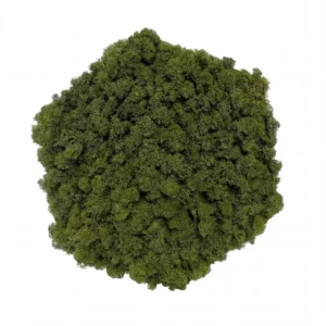 Machový obraz - Lesný vankúš (30cm - Nature Green)