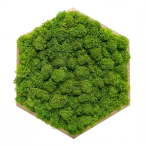 Machový obraz - Prírodný vankúšik (20cm - Light Green)