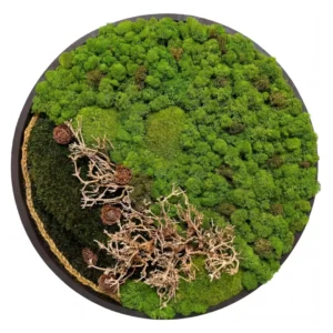 Veľký machový obraz - Lesná odyseja (50cm)