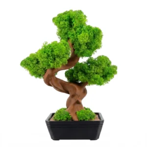 3D machový bonsai MINI