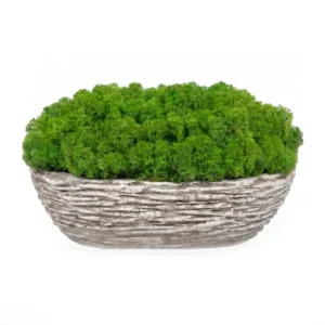 Oválny kvetináč s lišajníkom (25cm)