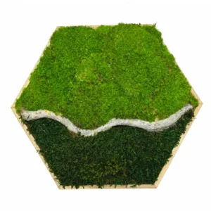 Machovy obraz s konarom Horizont 30 cm sestuholnik