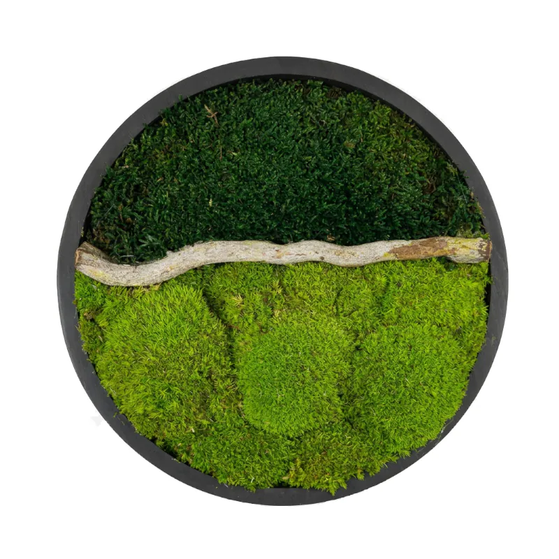 Machový obraz v čiernom ráme - Lesný park (30cm)
