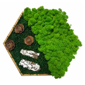 Machovy obraz hexagon Velky jezko 30 cm v drevenom rame