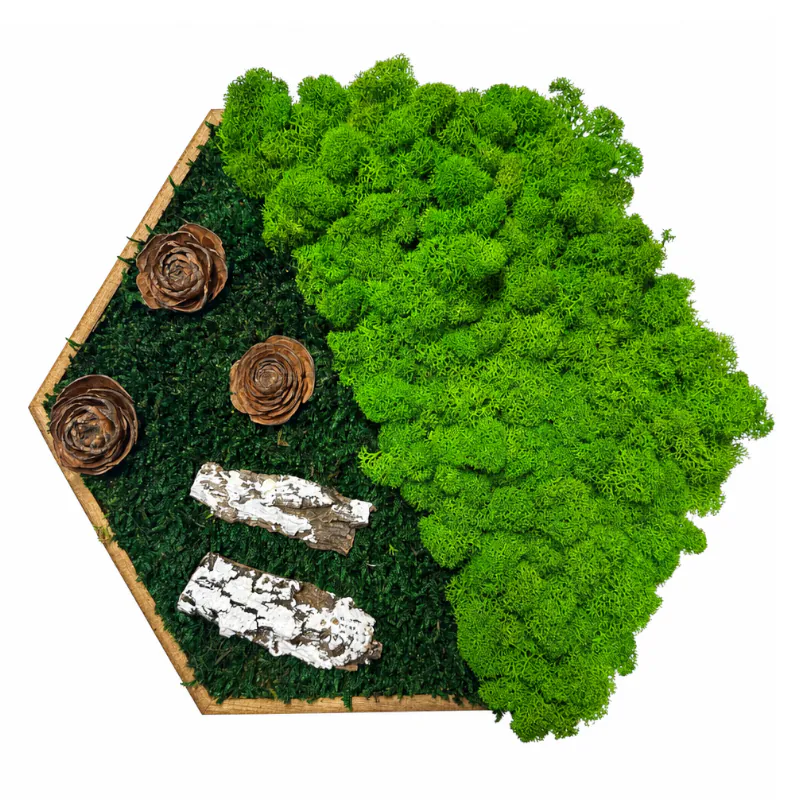 Machový obraz hexagón - Veľký ježko (30cm)