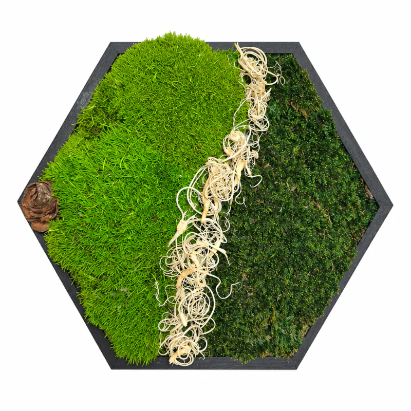 Machový obraz do chodby – Na rozhraní (20cm)