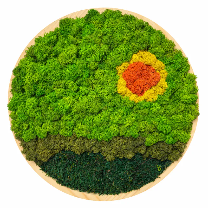 Machový obraz do detskej izby – Svitanie (30cm)