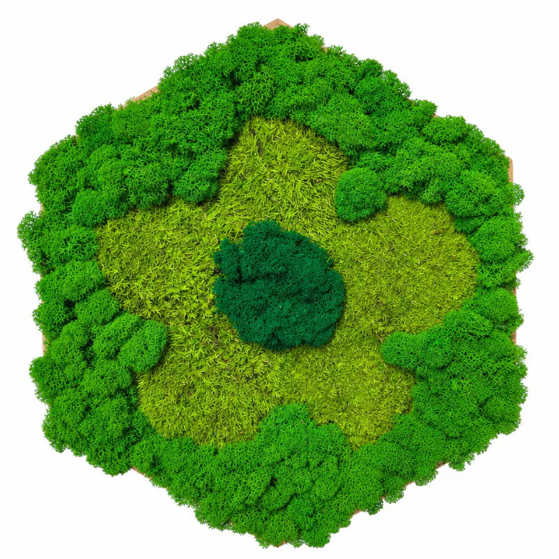 Machový obraz do spálne – Lesná čistinka (30cm)