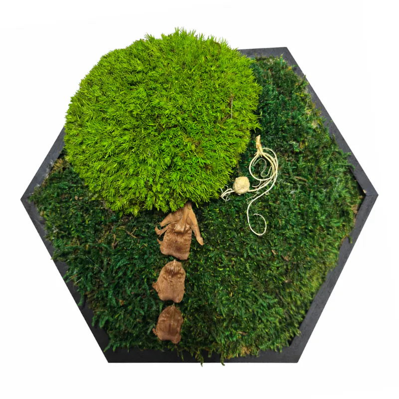 Obraz strom z machu – Lesný strážca (20cm)