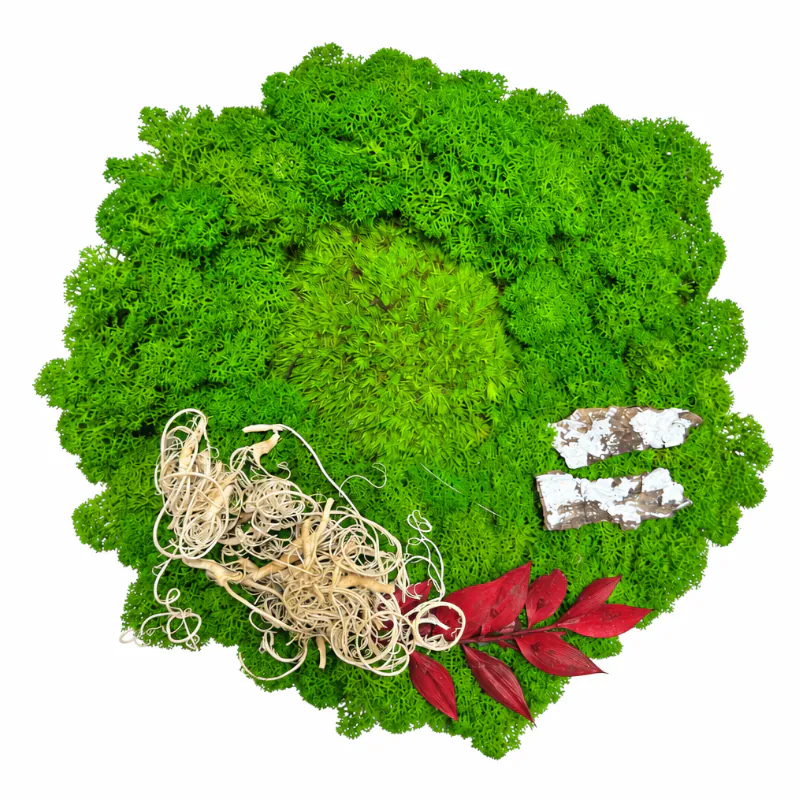 Vianočná dekorácia na stenu z machu – Zimná breza (20cm)