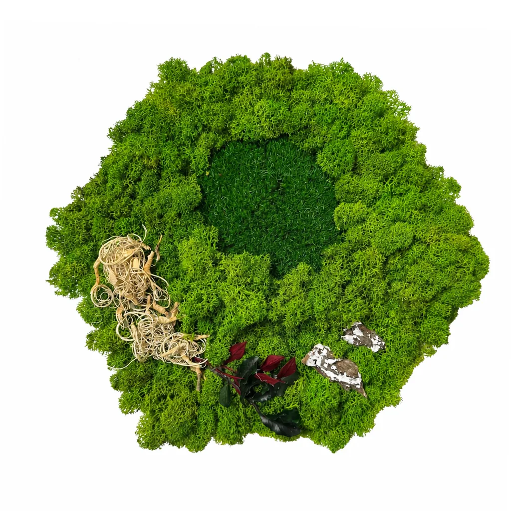 Obraz na stenu príroda z machu – Lesná pôda (30cm)